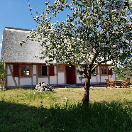 Fischerhus Lütt Hauke 69 qm Traudel Altwarp Exterior foto